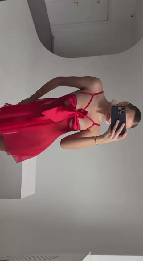 ❤️ Roselle Red Premium Babydoll
